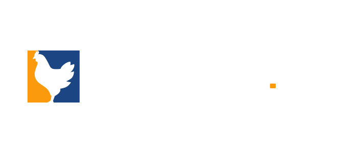 Chicken.gg logo